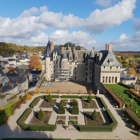Domaine De Bourgville Monts-sur-Guesnes Eksteriør bilde