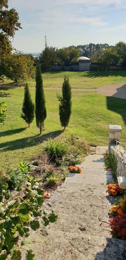Domaine De Bourgville Monts-sur-Guesnes Eksteriør bilde