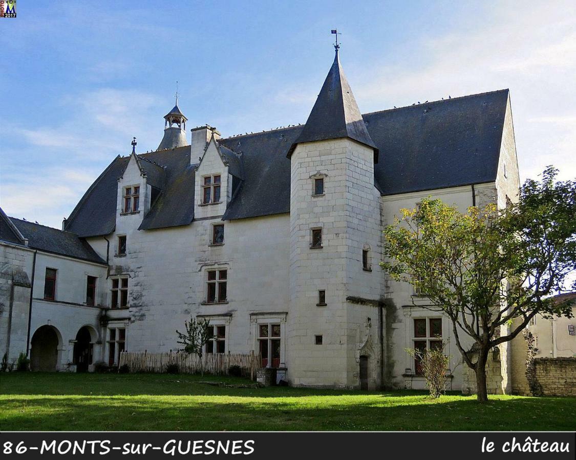 Domaine De Bourgville Monts-sur-Guesnes Eksteriør bilde